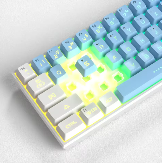 MageGee TS91 60 % USB-Tastatur – Kompakte kabelgebundene Tastatur mit RGB-Hintergrundbeleuchtung